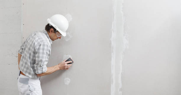 Best Black Mold Removal  in Helper, UT